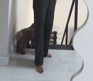 Jessica Mercedes feet photo 13