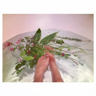 Jessica Michibata feet photo thumbnail
