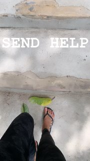 Jessica Olie feet photo 8