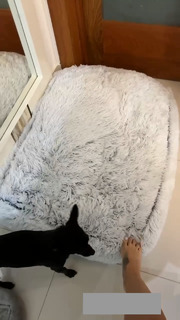 Jessica Pereira feet photo 3