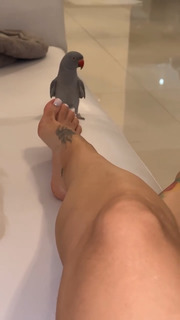 Jessica Pereira feet photo 10