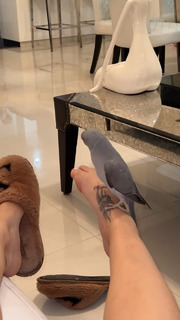 Jessica Pereira feet photo 8