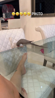 Jessica Pereira feet photo 4