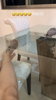 Jessica Pereira feet photo 1