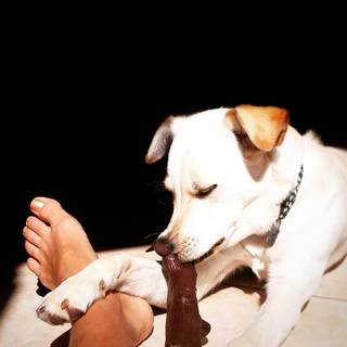 Jessica Polsky feet photo 10