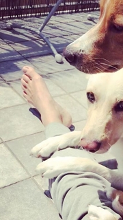 Jessica Polsky feet photo 6