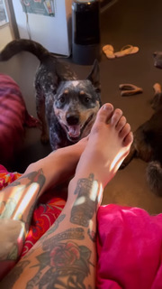 Jessica Rose Clark feet photo 5