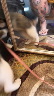Jessica Rose Clark feet photo 16