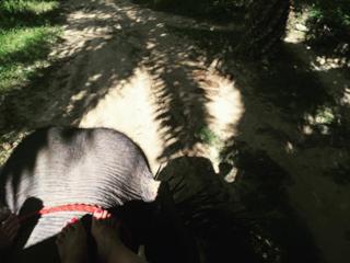 Jessica Schwarz feet photo thumbnail