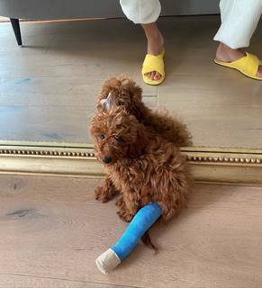 Jessica Serfaty feet photo thumbnail