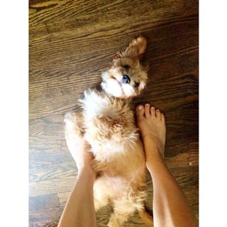 Jessica Sipos feet photo 12