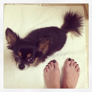 Jessimae Peluso feet photo 4