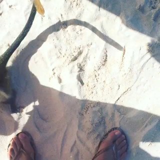 Jessimae Peluso feet photo 6