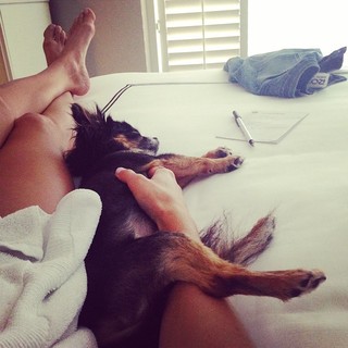 Jessimae Peluso feet photo 6