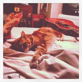 Jessy Schram feet photo thumbnail