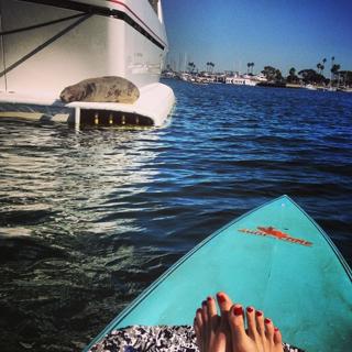 Jessy Schram feet photo thumbnail
