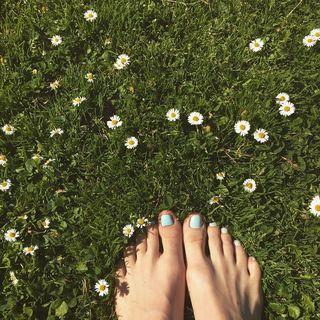 Jessy Schram feet photo thumbnail