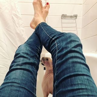 Jessy Schram feet photo thumbnail