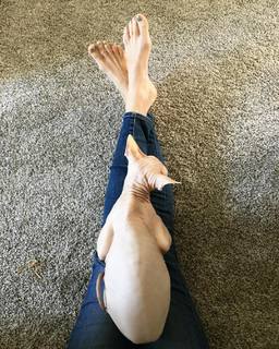 Jessy Schram feet photo thumbnail