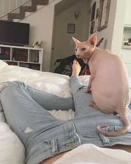 Jessy Schram feet photo thumbnail