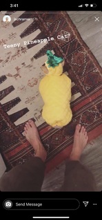Jessy Schram feet photo thumbnail