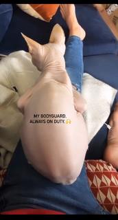 Jessy Schram feet photo thumbnail