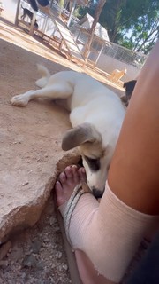 Jet Tranter feet photo 6