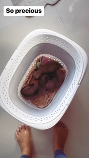 Jet Tranter feet photo 11