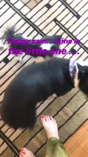 Jewel feet photo thumbnail
