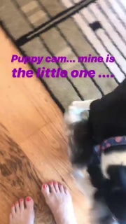 Jewel feet photo thumbnail