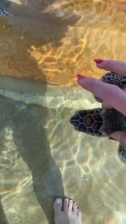 Jewel feet photo thumbnail