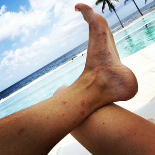 Jewel Staite feet photo thumbnail