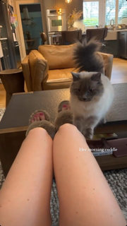 Jewel Staite feet photo thumbnail