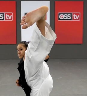 Jewelianna Ramos-Ortiz feet photo 8