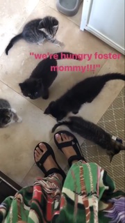 Jhené Aiko feet photo thumbnail