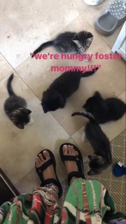 Jhené Aiko feet photo thumbnail
