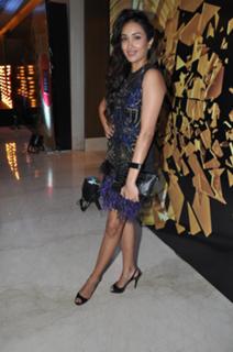 Jiah Khan feet photo 16