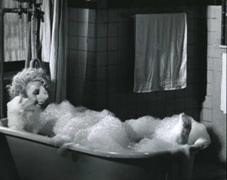 Jill Clayburgh feet photo 1