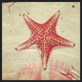 Jill Nicolini feet photo 20