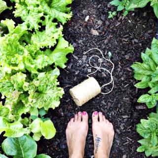 Jillian Harris feet photo thumbnail