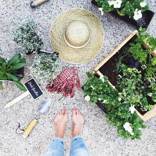 Jillian Harris feet photo thumbnail