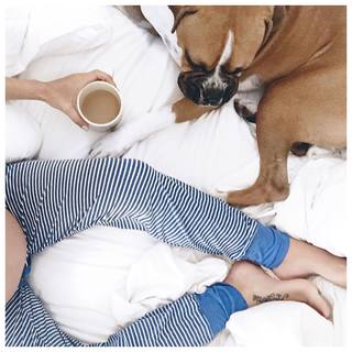 Jillian Harris feet photo thumbnail