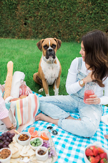 Jillian Harris feet photo thumbnail