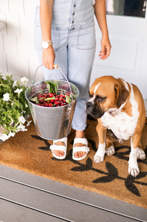 Jillian Harris feet photo thumbnail