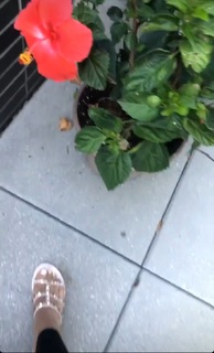 Jillian Mele feet photo thumbnail
