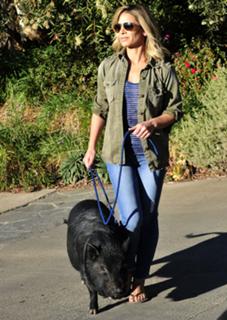 Jillian Michaels feet photo thumbnail