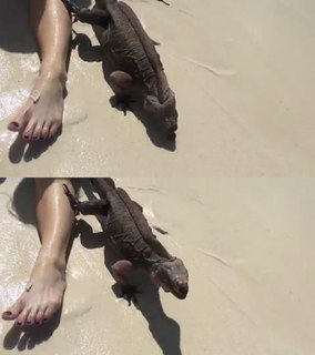 Jillian Murray feet photo thumbnail