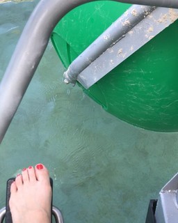 Jimena Pérez feet photo 13