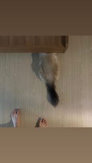 Jimin Shin feet photo 14