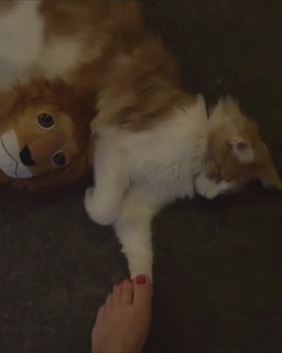 Jitka Cvancarová feet photo 17